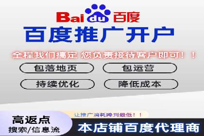 竞价排名失败案例：原因与教训